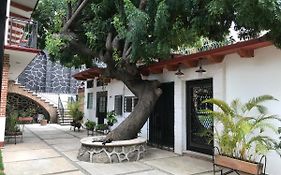 Villa familiar El Ciruelo